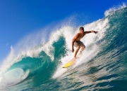 开云在线赛事平台-从墨尔本到都灵，穆雷的统治之路—澳网横扫至年终总决赛的王者加冕