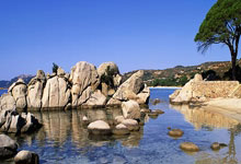 开云在线直播-极速与激情的双重奏，F1街道赛焦点战，快船巅峰对决胜出热火