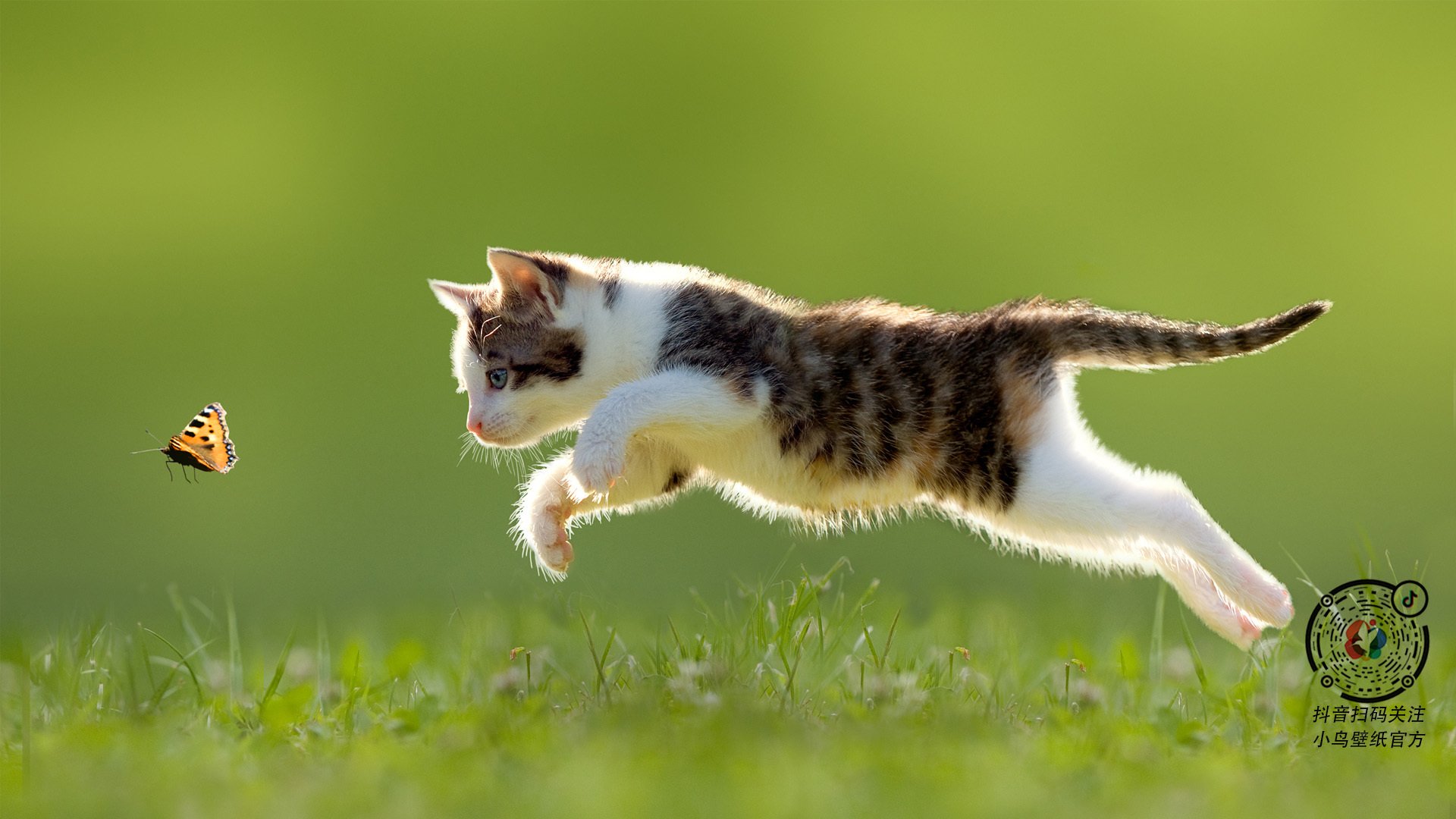 戈麦斯数据全面引爆，亚特兰大如何以战术革命碾压巴萨